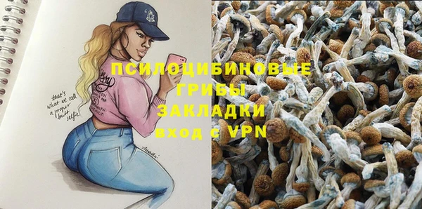 шишки Армянск