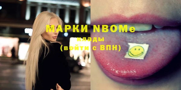 стаф Аркадак