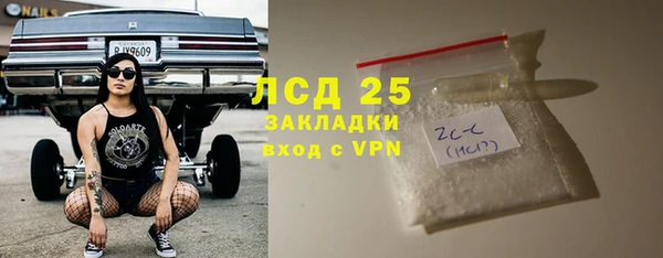 стаф Аркадак