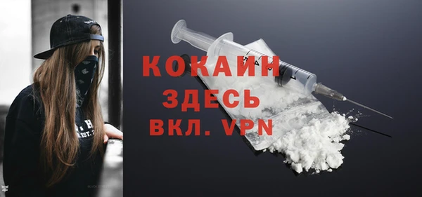 стаф Аркадак