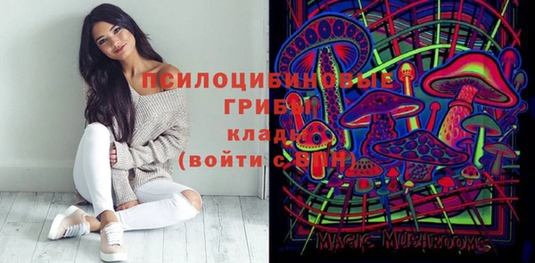 стаф Аркадак