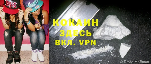 прущие грибы Арсеньев