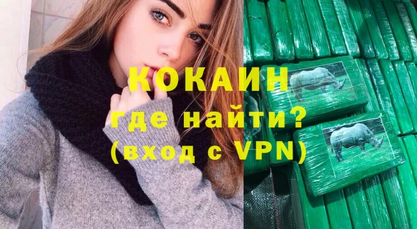 стаф Аркадак