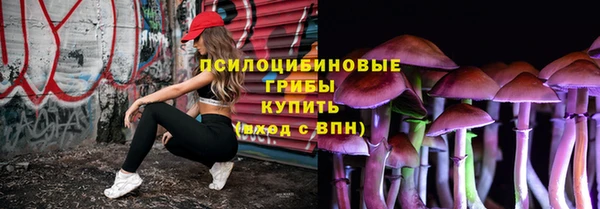 прущие грибы Арсеньев