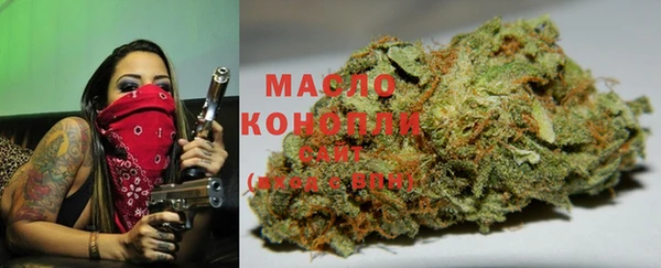 шишки Армянск
