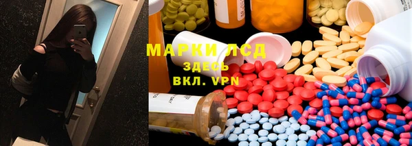 стаф Аркадак