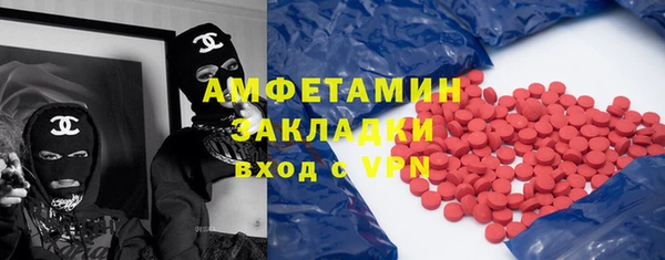 стаф Аркадак