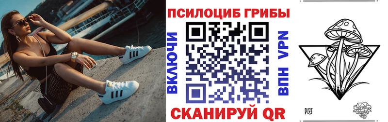 Псилоцибиновые грибы Psilocybine cubensis  Строитель 