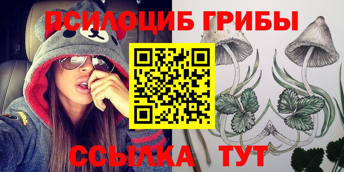 Строитель  Псилоцибиновые грибы Psilocybine cubensis  Вход с VPN 