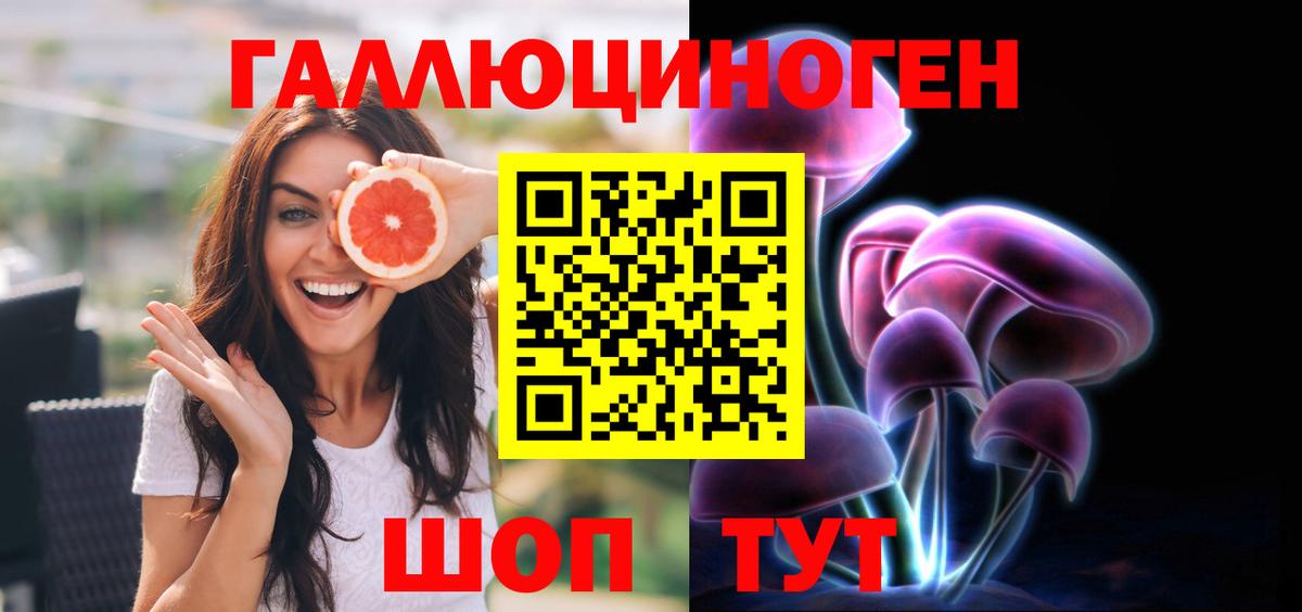 Галлюциногенные грибы Psilocybe Строитель